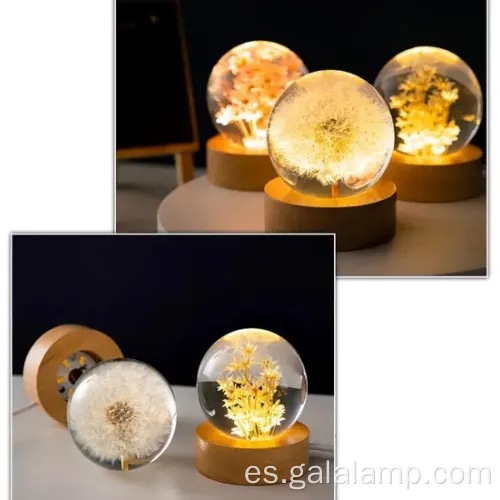 Luz eterna de la noche de flores